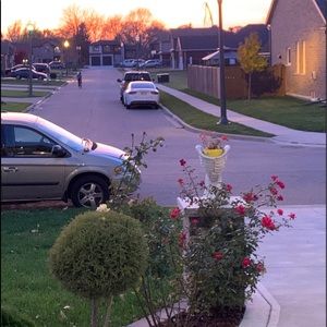 Meet your Posher, Lorelie